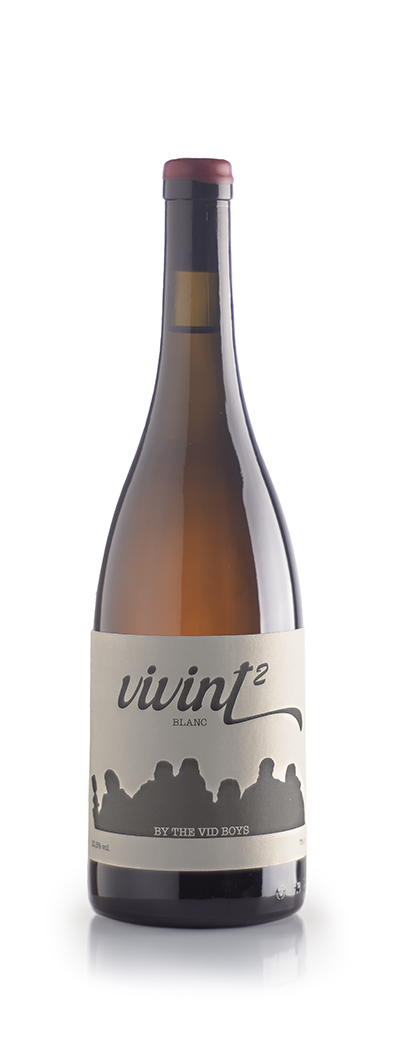 ViVint 2