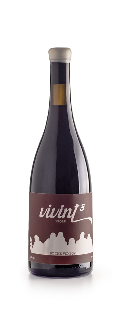 ViVint 3 Monastrell