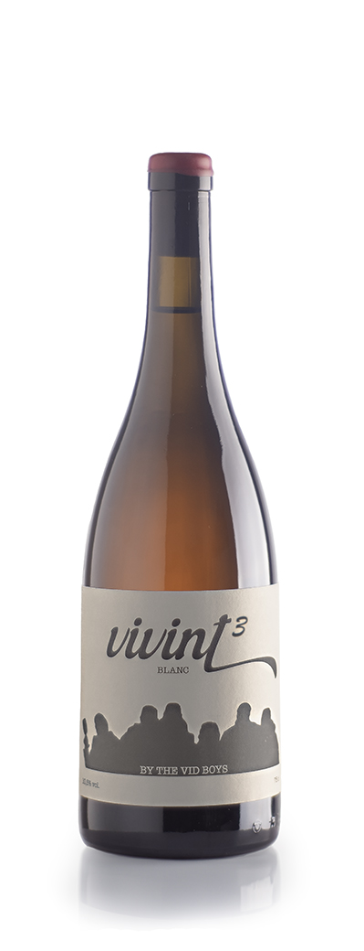 ViVint 3 Parellada